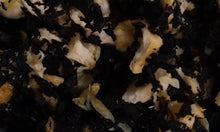Load image into Gallery viewer, COCONUT ICED TEA